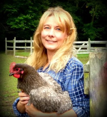 Chicken Coop Cleaning 1-2-3